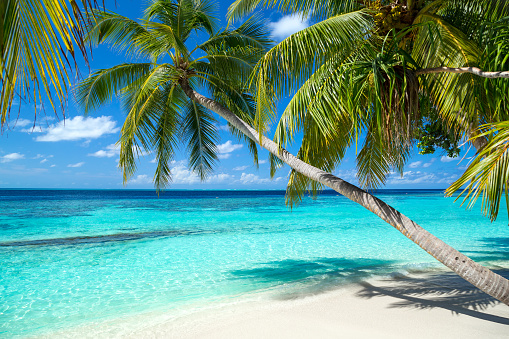 The Paradise Island Nation of Maldives